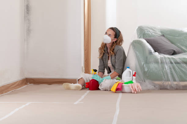Reliable Mold Testing contractor in Villa Park, IL by WQB Mold Removal